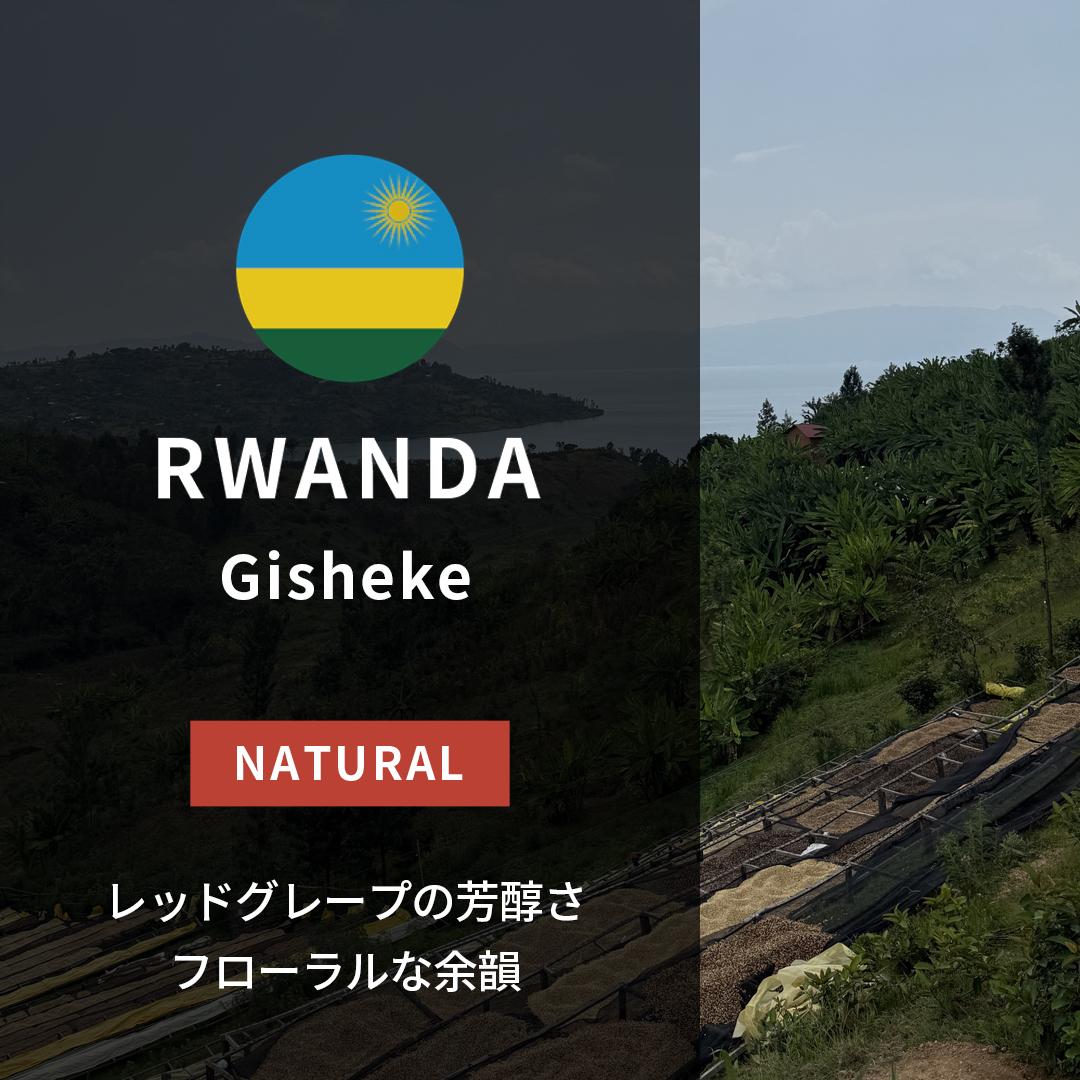Rwanda Gisheke Natural(24/25年クロップ) | ORIGIN COUNTRIES for